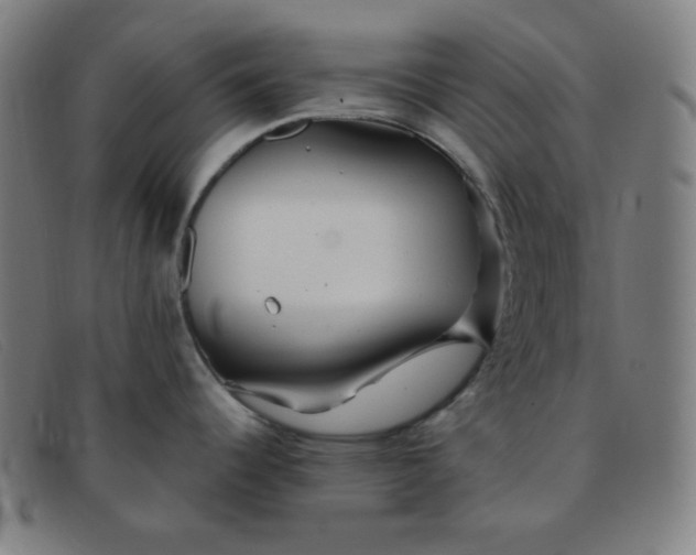 X0000091341344200708311449