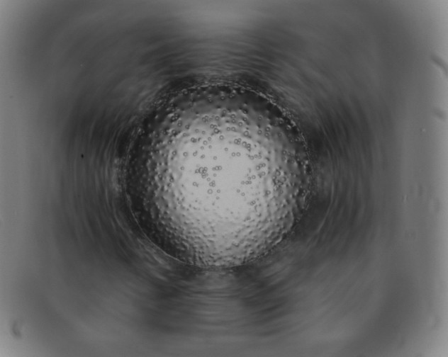 X0000091341346200708311448