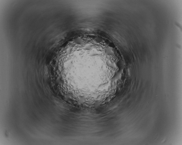 X0000091341347200708311448