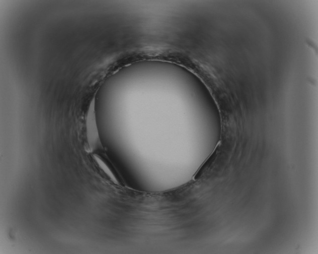 X0000091341349200708311448