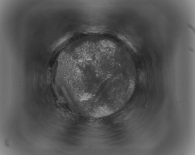 X0000091341350200708311448