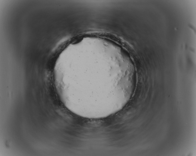 X0000091341351200708311448