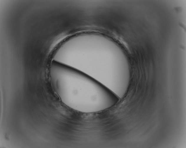 X0000091341352200708311448