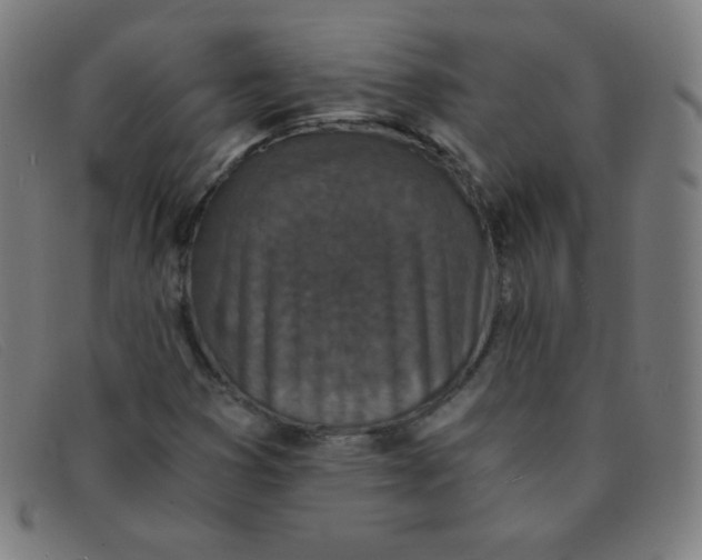 X0000091341353200708311448