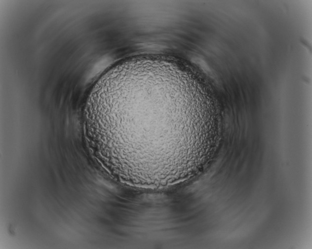 X0000091341354200708311448