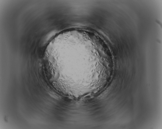 X0000091341355200708311448