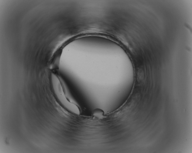 X0000091341356200708311448