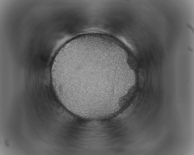 X0000091341358200708311448