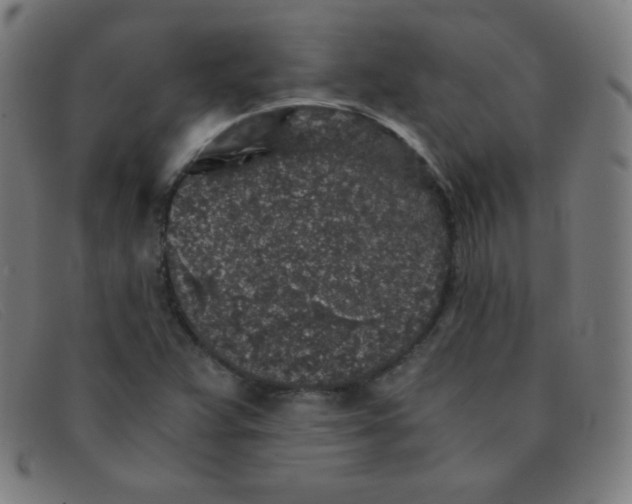 X0000091341359200708311448