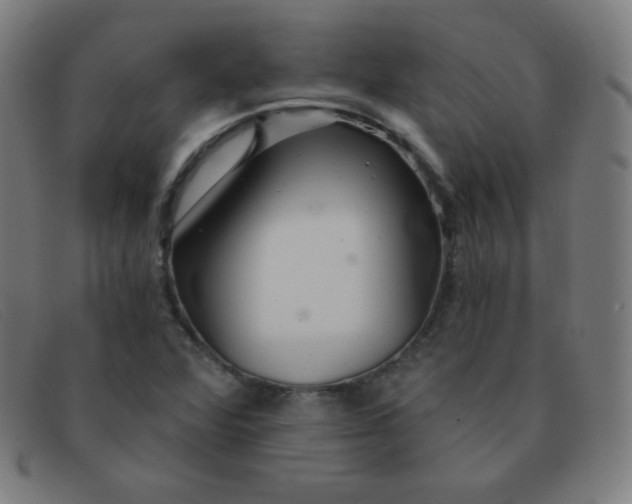 X0000091341360200708311448