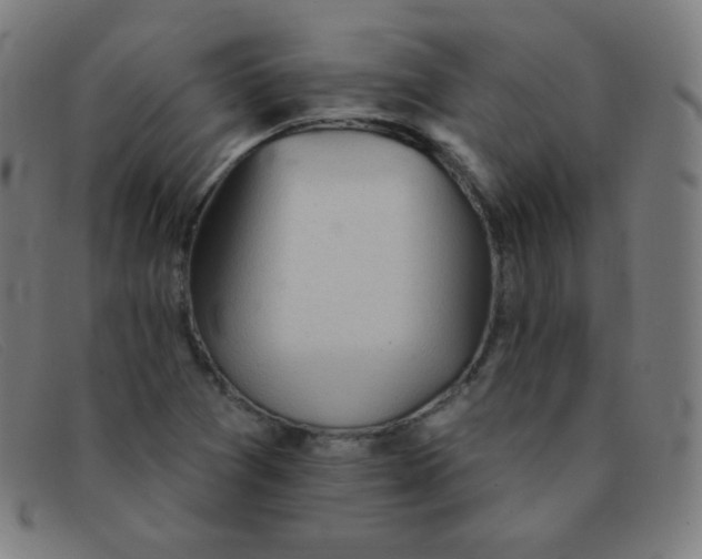 X0000091341361200708311448