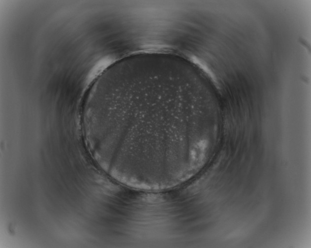 X0000091341362200708311448