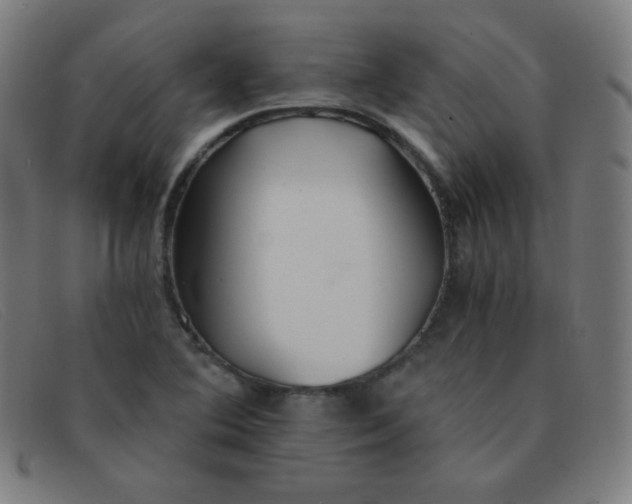 X0000091341364200708311448