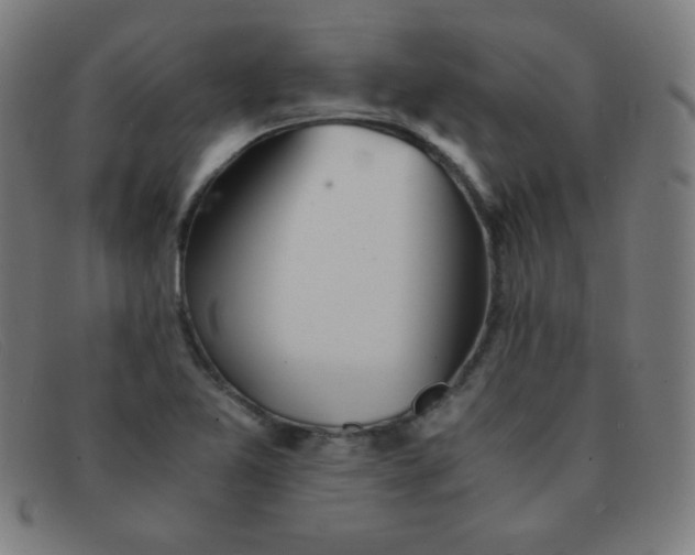 X0000091341365200708311448