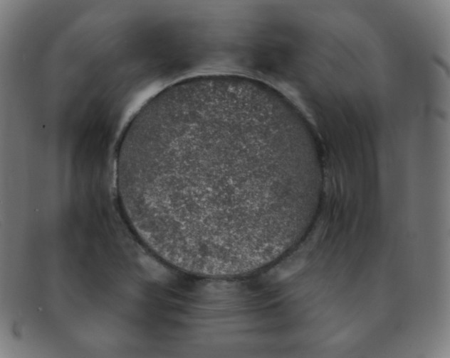 X0000091341366200708311448