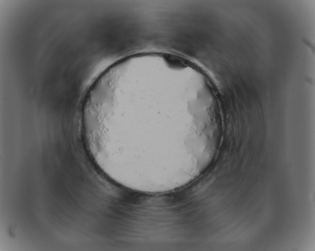 X0000091341367200708311448