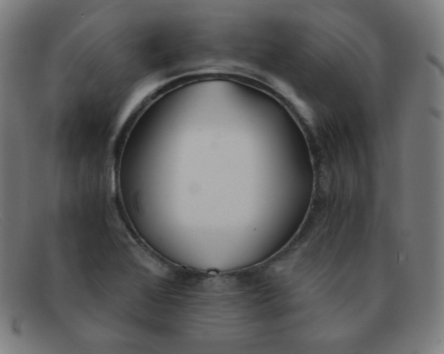 X0000091341368200708311448