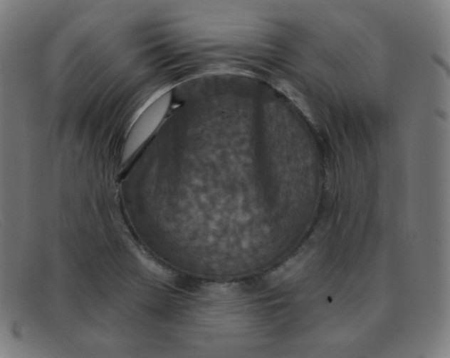 X0000091341369200708311448