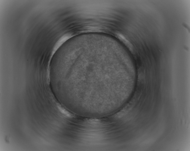 X0000091341370200708311448