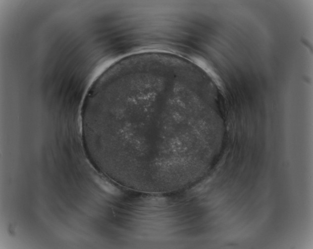 X0000091341372200708311448