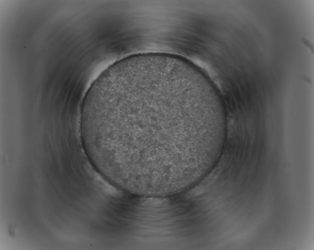 X0000091341374200708311448