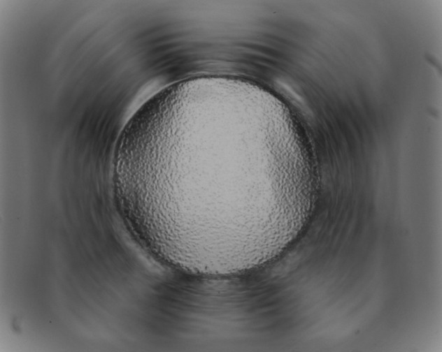 X0000091341378200708311448