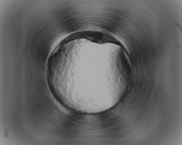 X0000091341379200708311448