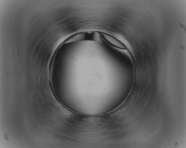 X0000091341380200708311448