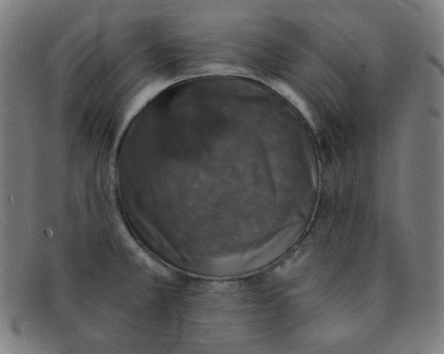 X0000091341381200708311448