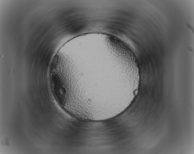 X0000091341382200708311448