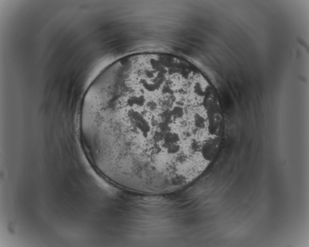 X0000091341383200708311448