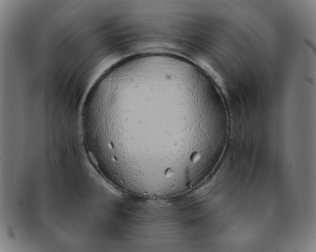 X0000091341384200708311448