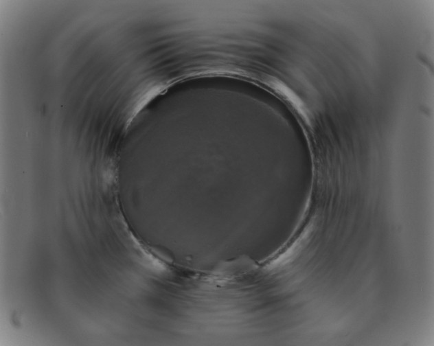 X0000091341385200708311448