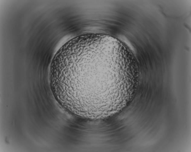 X0000091341386200708311447