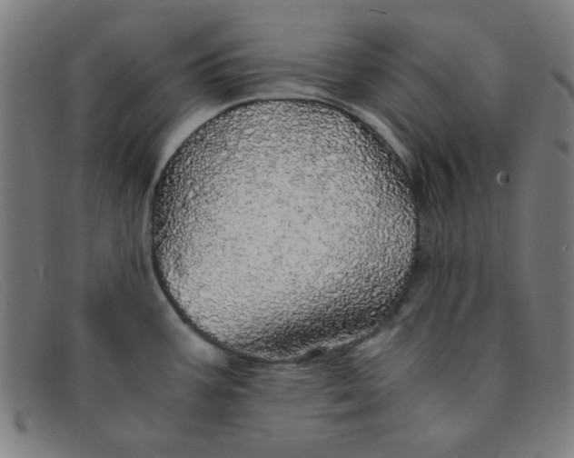 X0000091341387200708311447