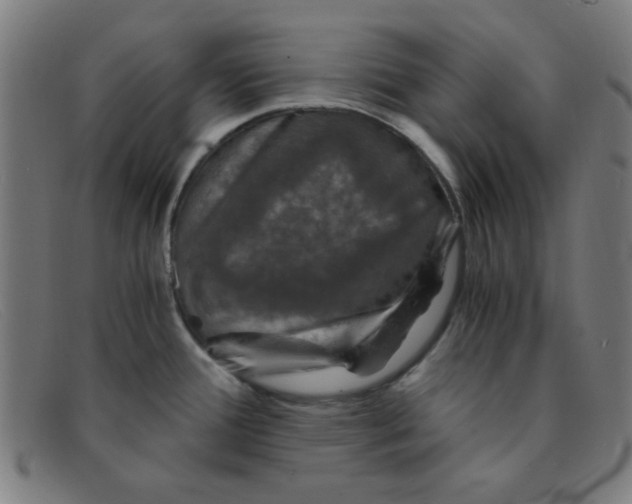 X0000091341388200708311447