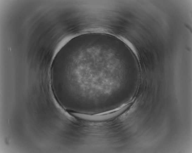 X0000091341389200708311447