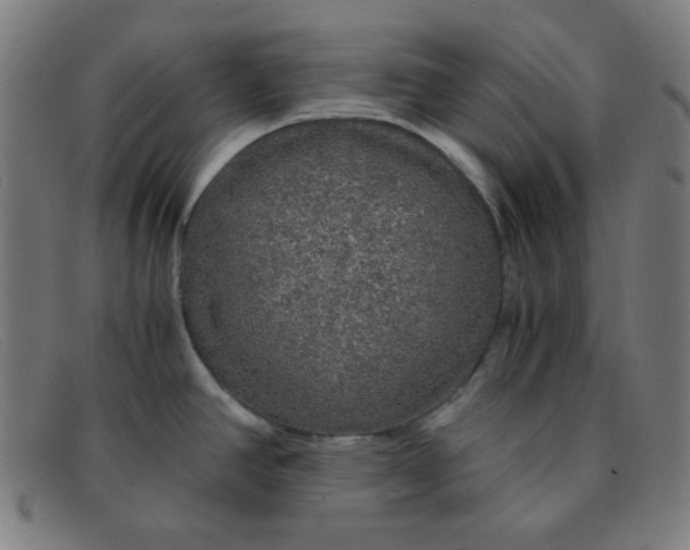 X0000091341390200708311447