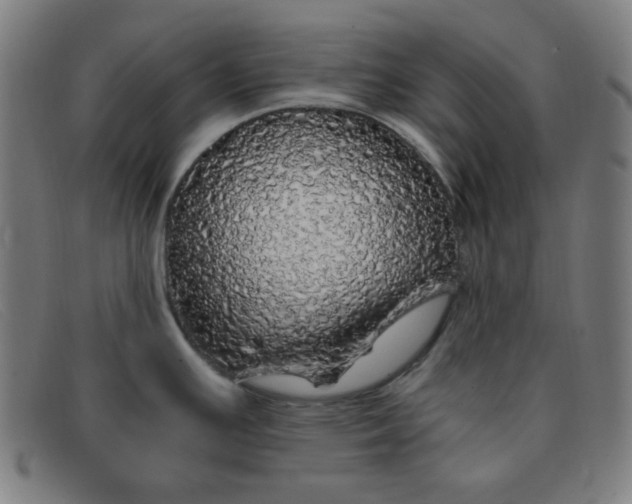 X0000091341391200708311447