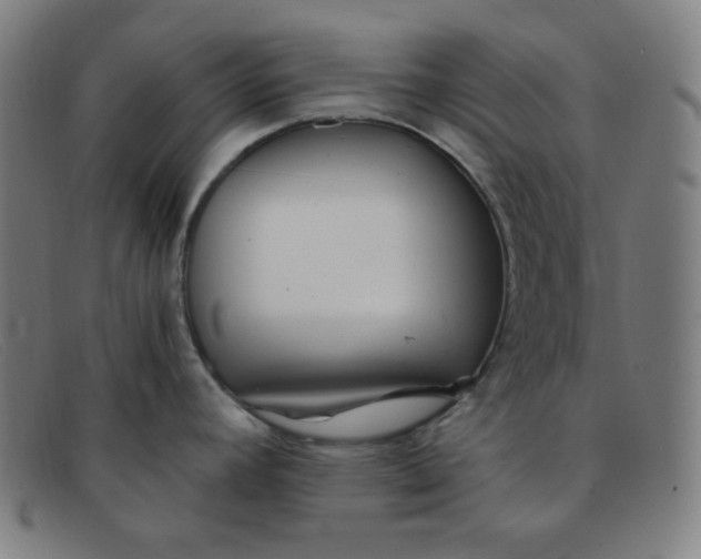 X0000091341392200708311447