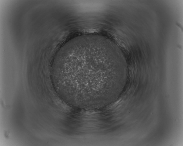 X0000091341393200708311447