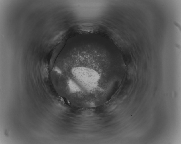 X0000091341394200708311447