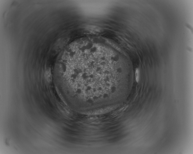 X0000091341395200708311447