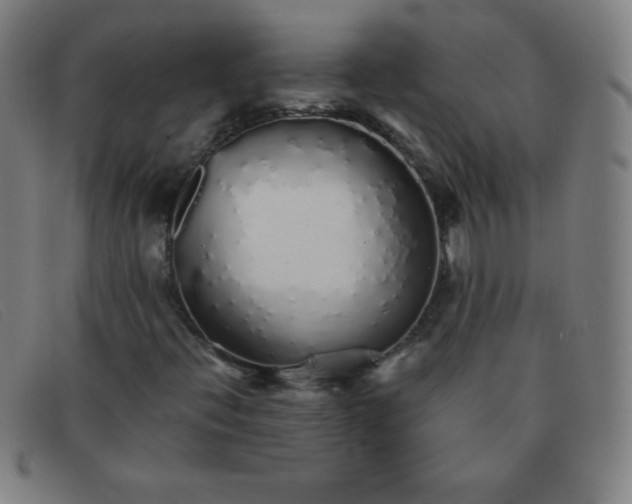 X0000091341396200708311447