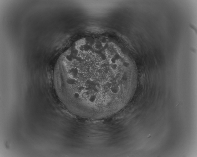 X0000091341397200708311447