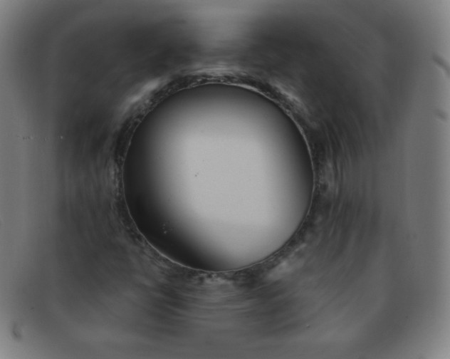 X0000091341398200708311447