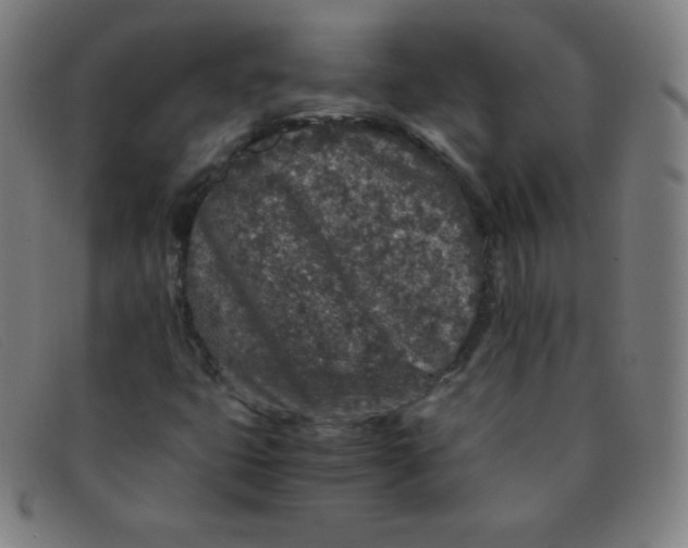 X0000091341399200708311447