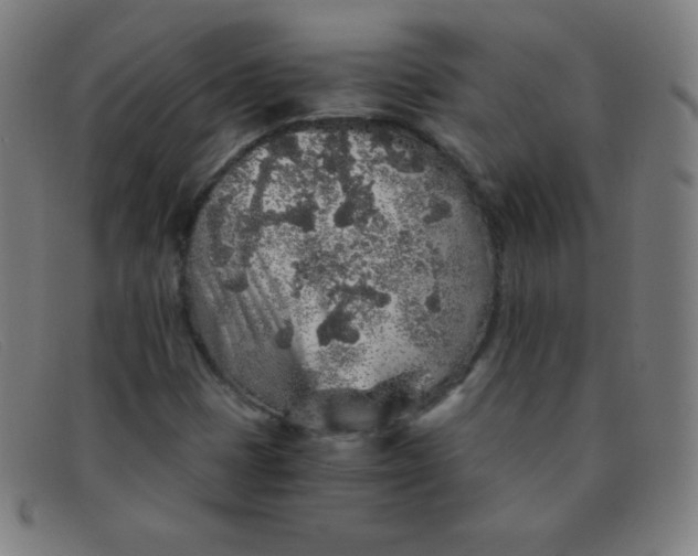 X0000091341401200708311447