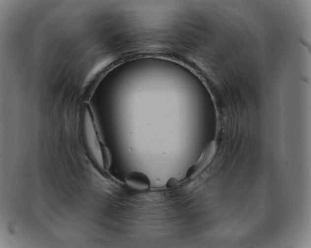 X0000091341402200708311447