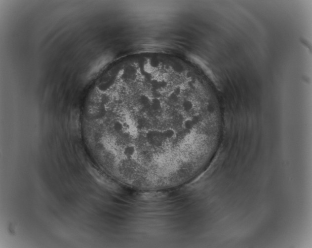 X0000091341403200708311447